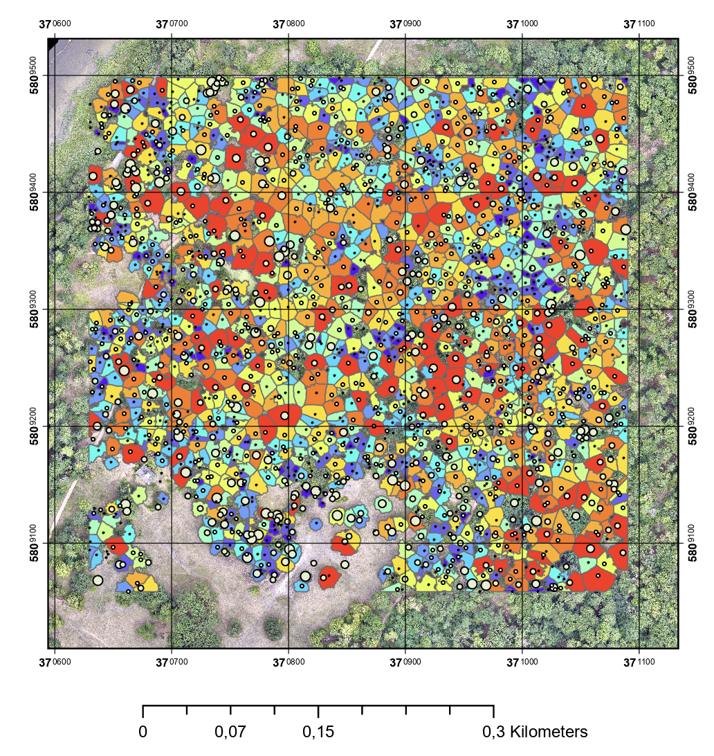 Tree Segmentation using Bottom-Up Voxel Segmentation